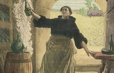 Wine Insights You Need to Know